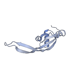 14846_7zod_t_v1-0
70S E. coli ribosome with an extended uL23 loop from Candidatus marinimicrobia