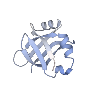 14846_7zod_w_v1-0
70S E. coli ribosome with an extended uL23 loop from Candidatus marinimicrobia