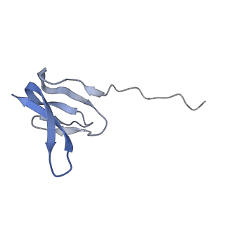 14846_7zod_y_v1-0
70S E. coli ribosome with an extended uL23 loop from Candidatus marinimicrobia
