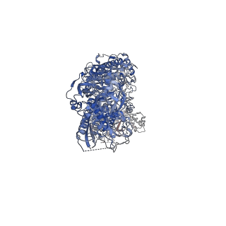 14847_7zol_B_v1-1
Cryo-EM structure of a CRISPR effector in complex with regulator