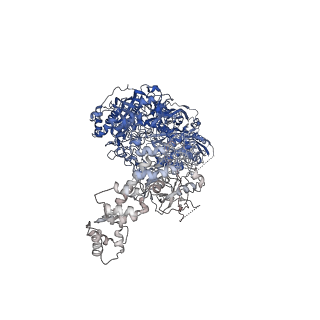 14848_7zoq_B_v1-1
Cryo-EM structure of a CRISPR effector in complex with a caspase regulator
