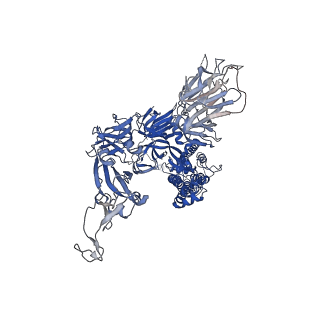 11332_6zp0_A_v1-0
Structure of SARS-CoV-2 Spike Protein Trimer (single Arg S1/S2 cleavage site) in Closed State