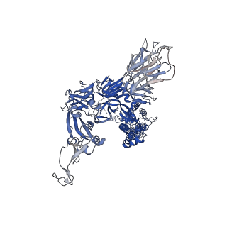 11332_6zp0_A_v2-3
Structure of SARS-CoV-2 Spike Protein Trimer (single Arg S1/S2 cleavage site) in Closed State