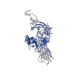 11332_6zp0_B_v1-0
Structure of SARS-CoV-2 Spike Protein Trimer (single Arg S1/S2 cleavage site) in Closed State