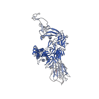 11332_6zp0_B_v2-3
Structure of SARS-CoV-2 Spike Protein Trimer (single Arg S1/S2 cleavage site) in Closed State