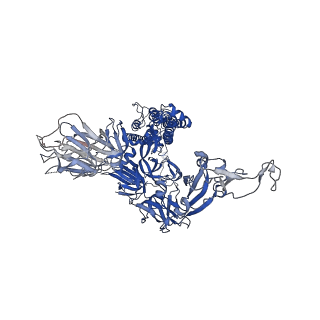 11332_6zp0_C_v1-0
Structure of SARS-CoV-2 Spike Protein Trimer (single Arg S1/S2 cleavage site) in Closed State