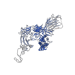 11333_6zp1_A_v1-0
Structure of SARS-CoV-2 Spike Protein Trimer (K986P, V987P, single Arg S1/S2 cleavage site) in Closed State