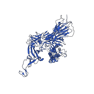 11334_6zp2_C_v1-0
Structure of SARS-CoV-2 Spike Protein Trimer (K986P, V987P, single Arg S1/S2 cleavage site) in Locked State