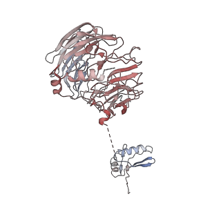 11335_6zp4_B_v1-1
SARS-CoV-2 Nsp1 bound to a human 43S preinitiation ribosome complex - state 2
