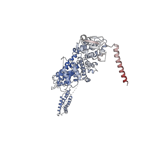 11335_6zp4_C_v1-1
SARS-CoV-2 Nsp1 bound to a human 43S preinitiation ribosome complex - state 2