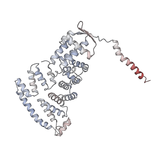 11335_6zp4_E_v1-1
SARS-CoV-2 Nsp1 bound to a human 43S preinitiation ribosome complex - state 2