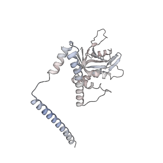 11335_6zp4_F_v1-1
SARS-CoV-2 Nsp1 bound to a human 43S preinitiation ribosome complex - state 2