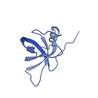 11335_6zp4_G_v1-1
SARS-CoV-2 Nsp1 bound to a human 43S preinitiation ribosome complex - state 2
