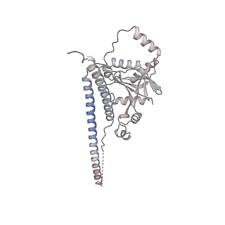 11335_6zp4_H_v1-1
SARS-CoV-2 Nsp1 bound to a human 43S preinitiation ribosome complex - state 2