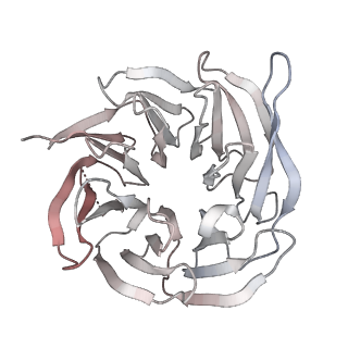 11335_6zp4_I_v1-1
SARS-CoV-2 Nsp1 bound to a human 43S preinitiation ribosome complex - state 2