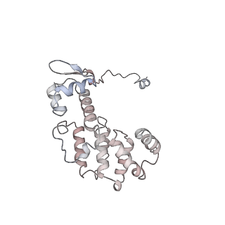 11335_6zp4_K_v1-1
SARS-CoV-2 Nsp1 bound to a human 43S preinitiation ribosome complex - state 2