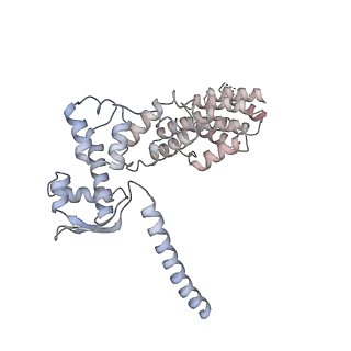 11335_6zp4_M_v1-1
SARS-CoV-2 Nsp1 bound to a human 43S preinitiation ribosome complex - state 2
