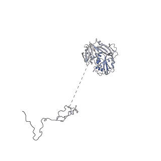 11335_6zp4_N_v1-1
SARS-CoV-2 Nsp1 bound to a human 43S preinitiation ribosome complex - state 2