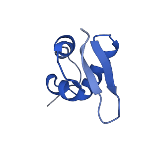 11335_6zp4_P_v1-1
SARS-CoV-2 Nsp1 bound to a human 43S preinitiation ribosome complex - state 2