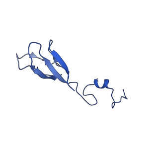11335_6zp4_R_v1-1
SARS-CoV-2 Nsp1 bound to a human 43S preinitiation ribosome complex - state 2