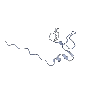 11335_6zp4_U_v1-1
SARS-CoV-2 Nsp1 bound to a human 43S preinitiation ribosome complex - state 2