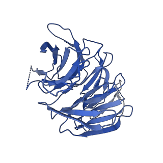 11335_6zp4_V_v1-1
SARS-CoV-2 Nsp1 bound to a human 43S preinitiation ribosome complex - state 2
