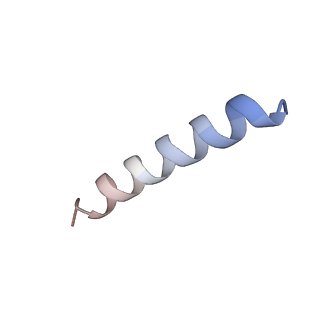 11335_6zp4_W_v1-1
SARS-CoV-2 Nsp1 bound to a human 43S preinitiation ribosome complex - state 2