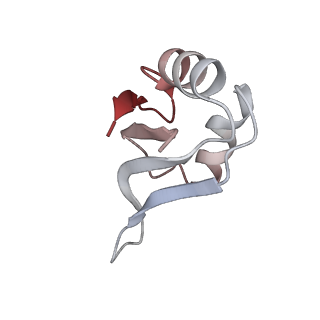 11335_6zp4_X_v1-1
SARS-CoV-2 Nsp1 bound to a human 43S preinitiation ribosome complex - state 2