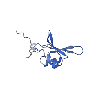 11335_6zp4_Z_v1-1
SARS-CoV-2 Nsp1 bound to a human 43S preinitiation ribosome complex - state 2