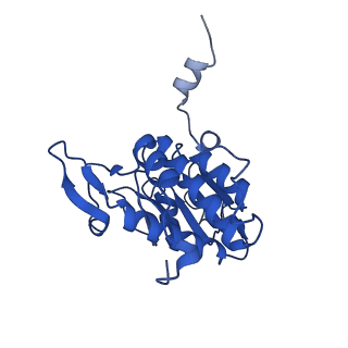 11335_6zp4_a_v1-1
SARS-CoV-2 Nsp1 bound to a human 43S preinitiation ribosome complex - state 2