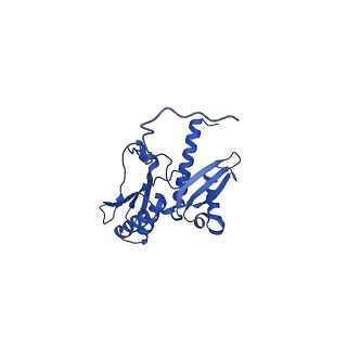 11335_6zp4_b_v1-1
SARS-CoV-2 Nsp1 bound to a human 43S preinitiation ribosome complex - state 2