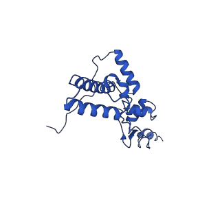 11335_6zp4_c_v1-1
SARS-CoV-2 Nsp1 bound to a human 43S preinitiation ribosome complex - state 2