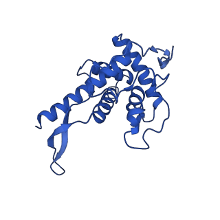 11335_6zp4_e_v1-1
SARS-CoV-2 Nsp1 bound to a human 43S preinitiation ribosome complex - state 2