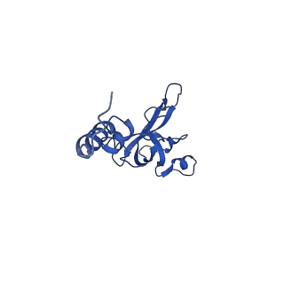 11335_6zp4_j_v1-1
SARS-CoV-2 Nsp1 bound to a human 43S preinitiation ribosome complex - state 2