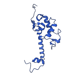 11335_6zp4_k_v1-1
SARS-CoV-2 Nsp1 bound to a human 43S preinitiation ribosome complex - state 2