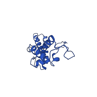 11335_6zp4_m_v1-1
SARS-CoV-2 Nsp1 bound to a human 43S preinitiation ribosome complex - state 2