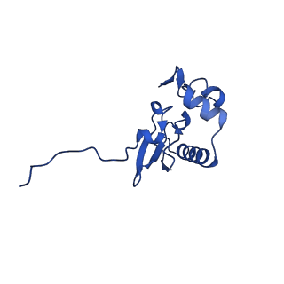 11335_6zp4_o_v1-1
SARS-CoV-2 Nsp1 bound to a human 43S preinitiation ribosome complex - state 2