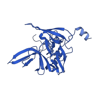 11335_6zp4_q_v1-1
SARS-CoV-2 Nsp1 bound to a human 43S preinitiation ribosome complex - state 2