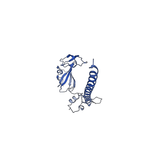11335_6zp4_r_v1-1
SARS-CoV-2 Nsp1 bound to a human 43S preinitiation ribosome complex - state 2