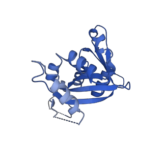 11335_6zp4_s_v1-1
SARS-CoV-2 Nsp1 bound to a human 43S preinitiation ribosome complex - state 2