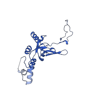 11335_6zp4_t_v1-1
SARS-CoV-2 Nsp1 bound to a human 43S preinitiation ribosome complex - state 2