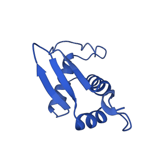 11335_6zp4_u_v1-1
SARS-CoV-2 Nsp1 bound to a human 43S preinitiation ribosome complex - state 2