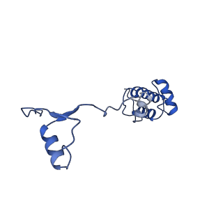 11335_6zp4_w_v1-1
SARS-CoV-2 Nsp1 bound to a human 43S preinitiation ribosome complex - state 2