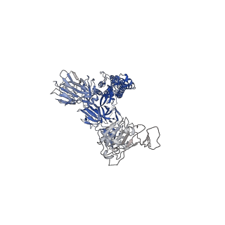 11336_6zp5_A_v2-1
SARS-CoV-2 spike in prefusion state (flexibility analysis, 1-up closed conformation)