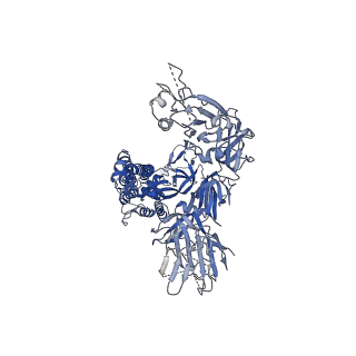 11336_6zp5_C_v1-0
SARS-CoV-2 spike in prefusion state (flexibility analysis, 1-up closed conformation)