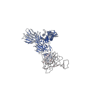 11337_6zp7_A_v3-1
SARS-CoV-2 spike in prefusion state (flexibility analysis, 1-up open conformation)