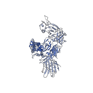 11337_6zp7_B_v3-1
SARS-CoV-2 spike in prefusion state (flexibility analysis, 1-up open conformation)