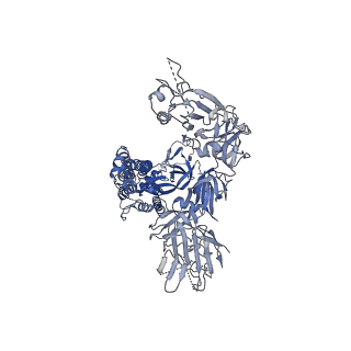 11337_6zp7_C_v1-0
SARS-CoV-2 spike in prefusion state (flexibility analysis, 1-up open conformation)