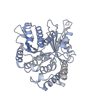 11340_6zpi_A_v1-0
Microtubule complexed with Kif15 motor domain. Symmetrised asymmetric unit