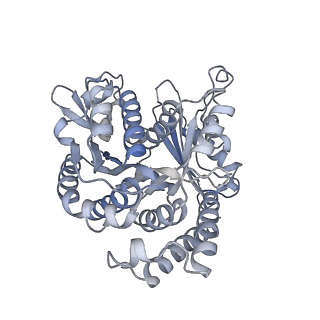 11340_6zpi_B_v1-0
Microtubule complexed with Kif15 motor domain. Symmetrised asymmetric unit